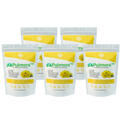 Pulmora™